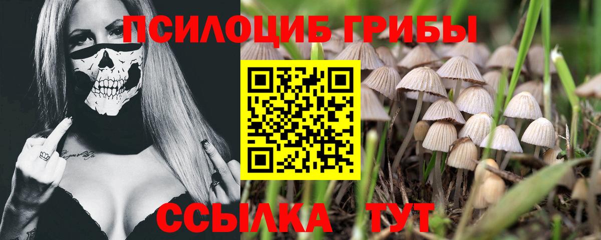 Псилоцибиновые грибы Magic Shrooms  Галлюциногенные грибы Cubensis  Клин  продажа наркотиков  Вход с VPN 